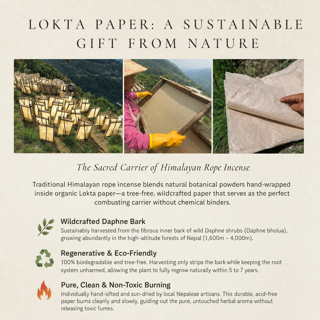 Himalayan Temple Sanctuary: Handmade Nepalese Lokta Paper Rope Incense (Sandalwood, Basil, and Wild Herbs)